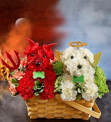 Devil Dog and<br>Angel Dog bouquet Davis Floral Clayton Indiana from Davis Floral